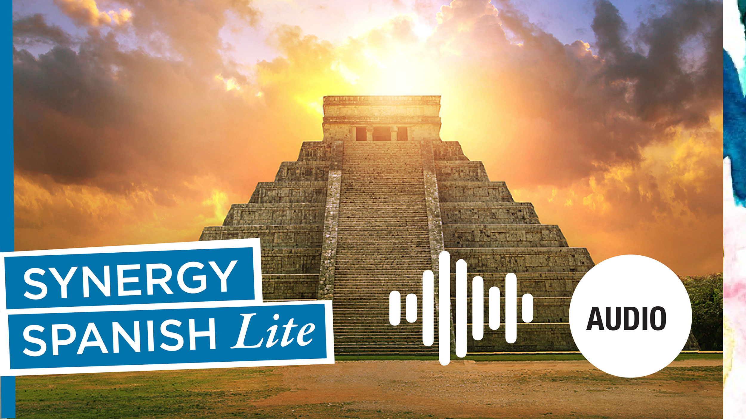 Synergy Spanish Lite